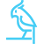 Ptáci